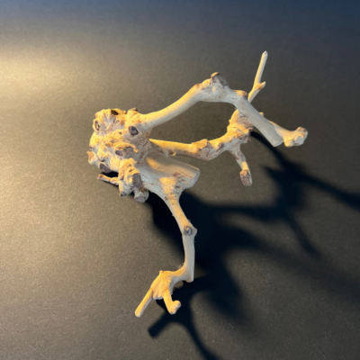 Vaza „Medžio kerai“