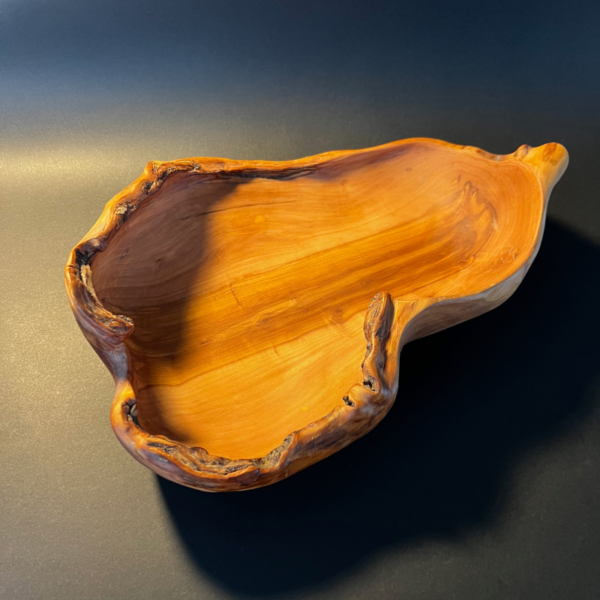 Dubuo „Žalčio paslaptis“