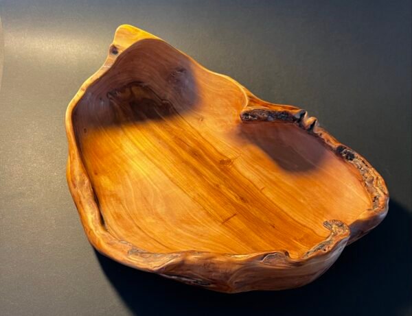 Dubuo „Žalčio paslaptis“