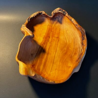 Dubuo „Žalčio paslaptis“