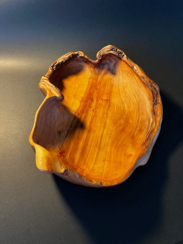 Dubuo „Žalčio paslaptis“