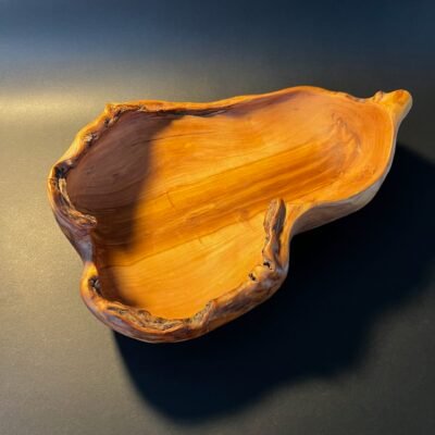 Dubuo „Žalčio paslaptis“