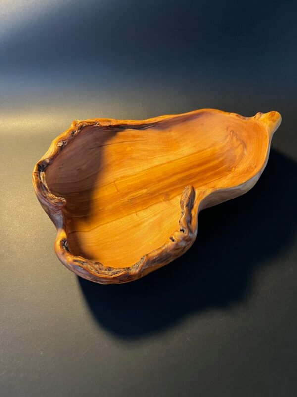 Dubuo „Žalčio paslaptis“