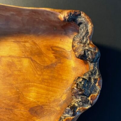 Dubuo „Pakrantė“