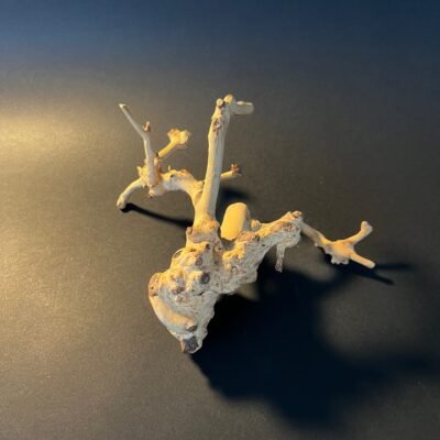 Vaza „Medžio kerai“