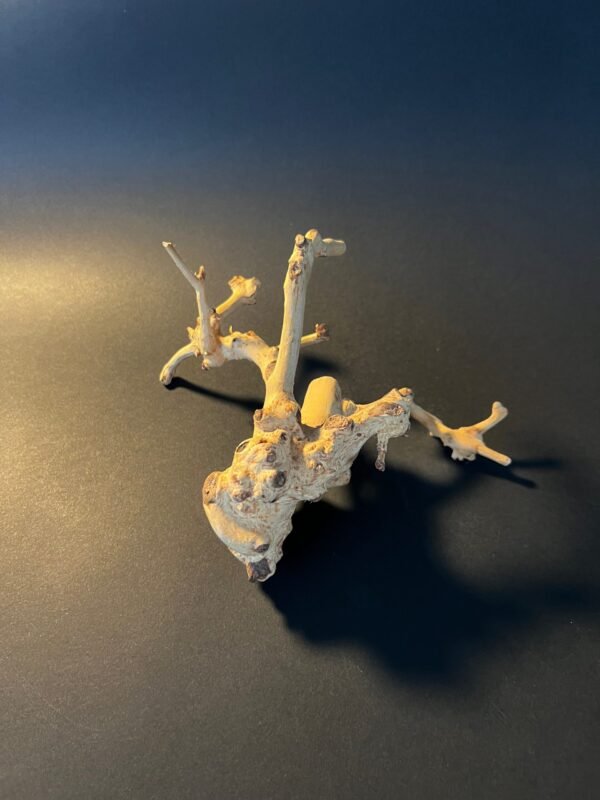 Vaza „Medžio kerai“