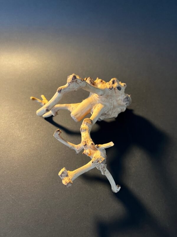 Vaza „Medžio kerai“