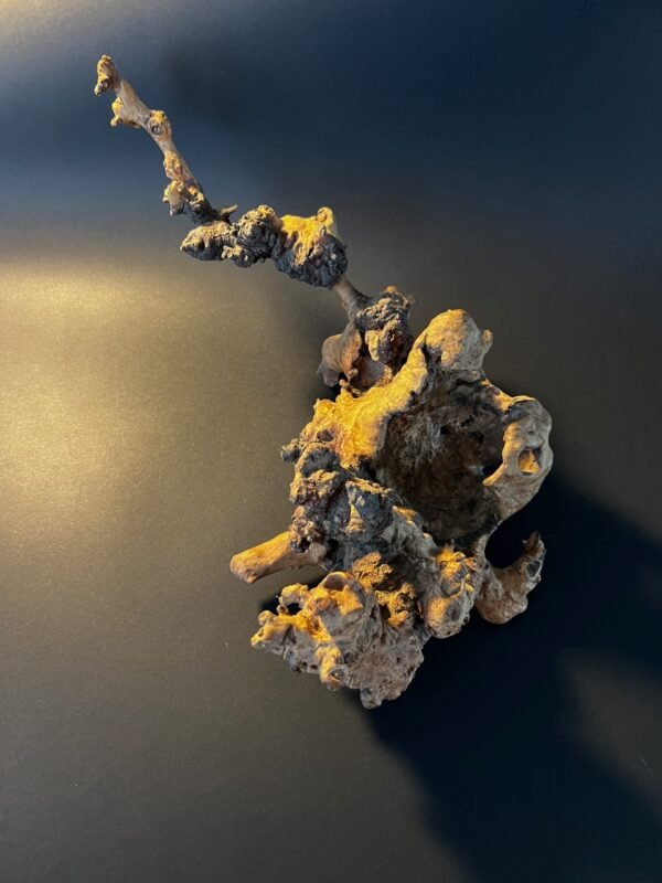 Vaza „Šakų sapne“