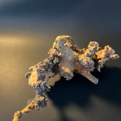 Vaza „Šakų sapne“