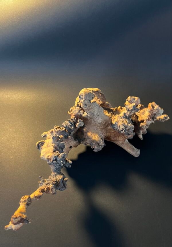 Vaza „Šakų sapne“