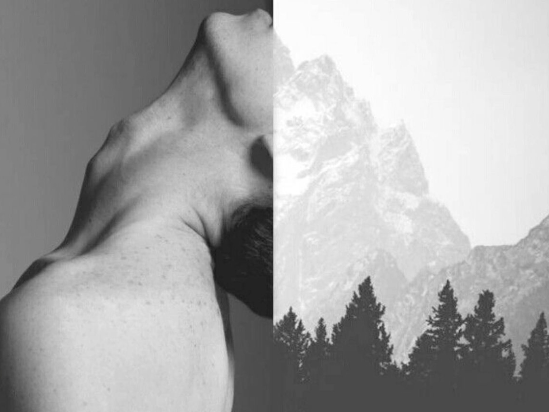 Screenshot 2025-03-13 121630 A. Zubačiovienė Apgyvendinimo paslauga